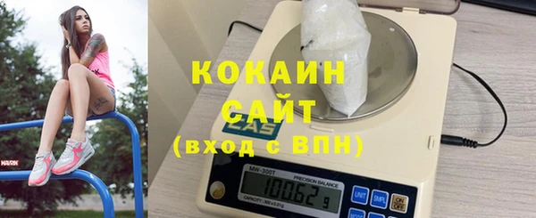 прущие грибы Богданович